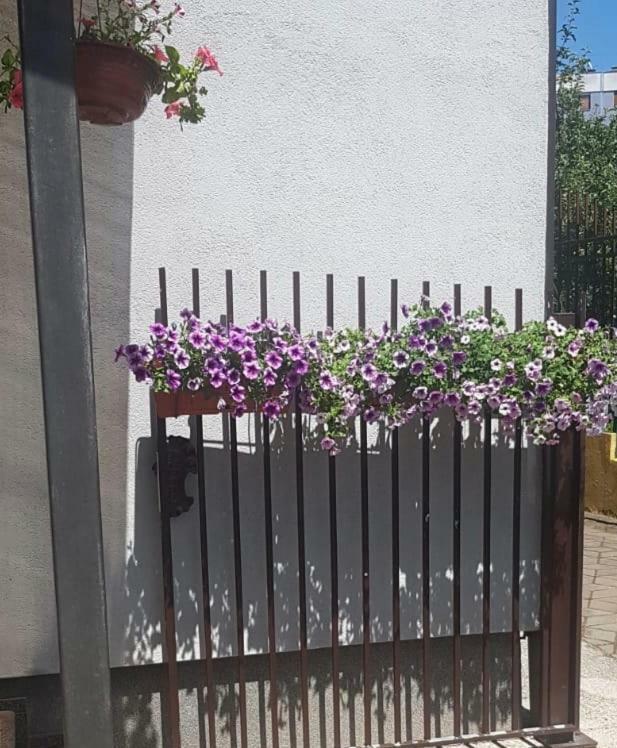 Sun Garden Sarajevoアパートホテル エクステリア 写真